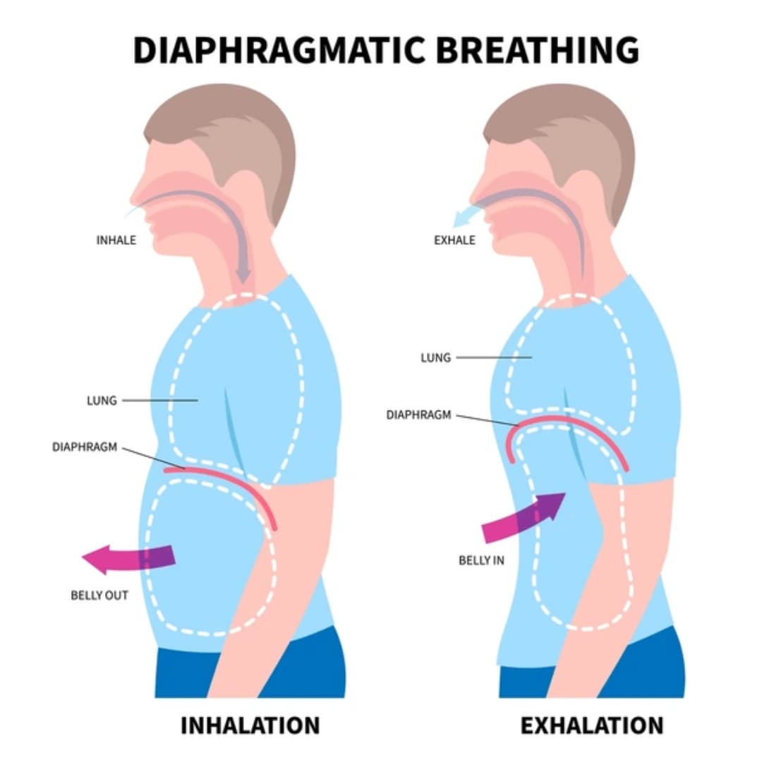 Visual guide to diaphragmatic breathing exercise
