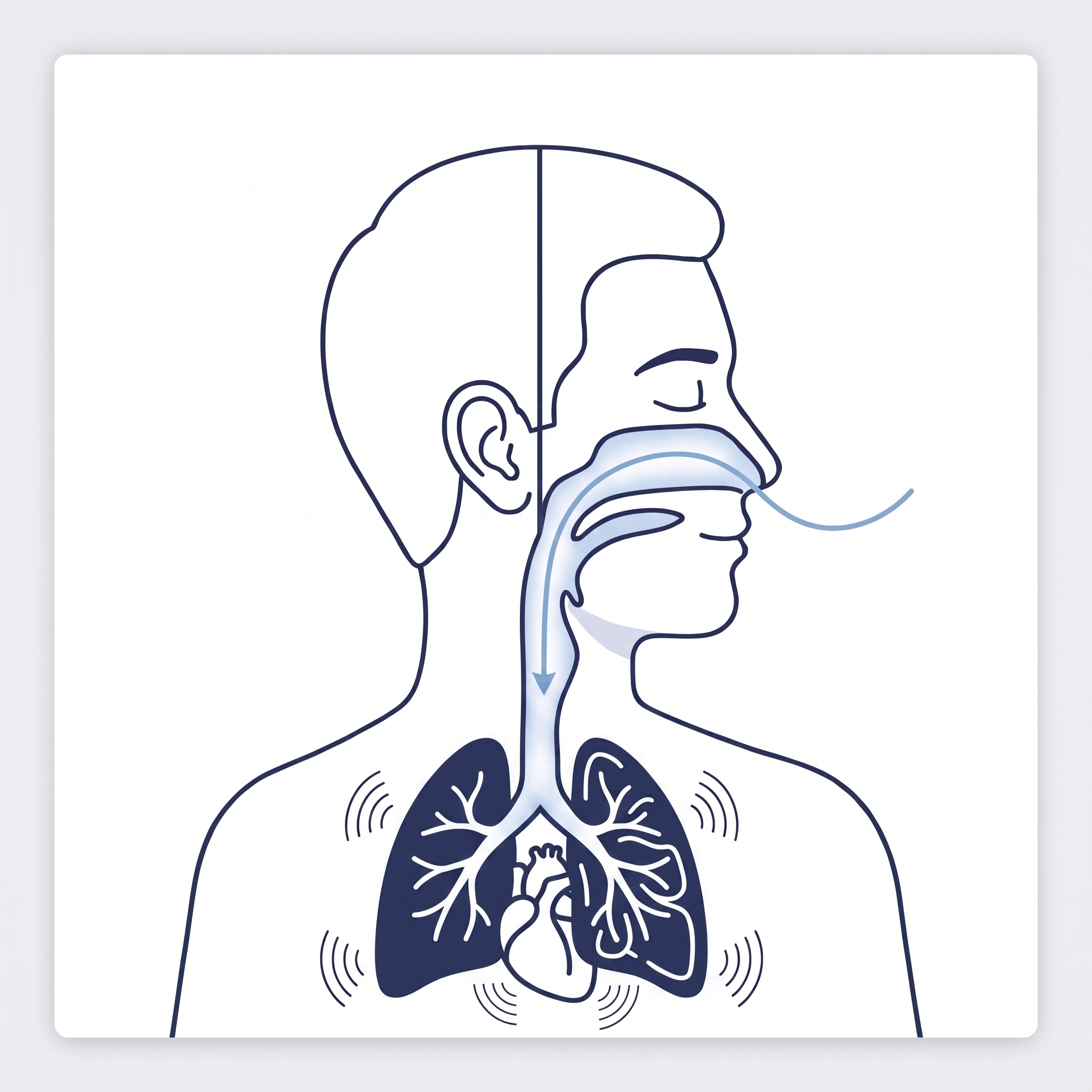 Breathing sensed by the VM-6