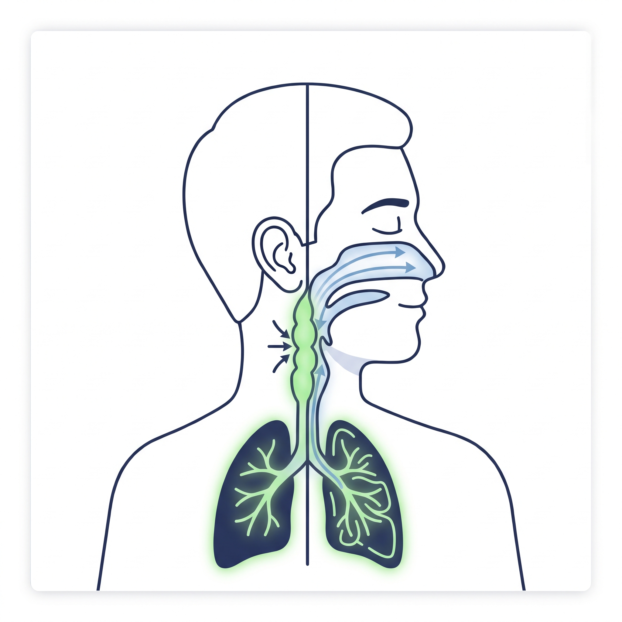 Airway opening from blocked to clear